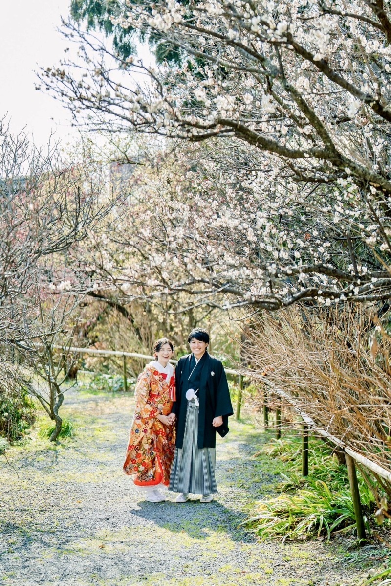 2月~3月前半のお得なプラン