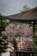 １月２月の空き状況とロケーションのご案内