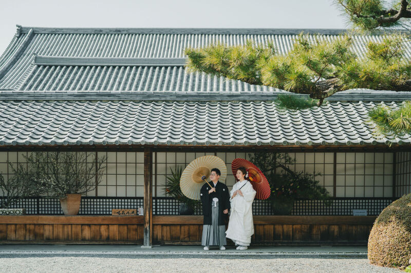 新緑シーズンこそ、大覚寺2着プラン