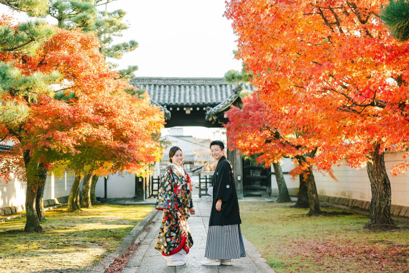 妙顕寺は秋と桜と新緑がいい