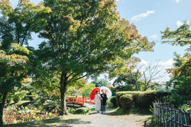 大覚寺の色付き情報