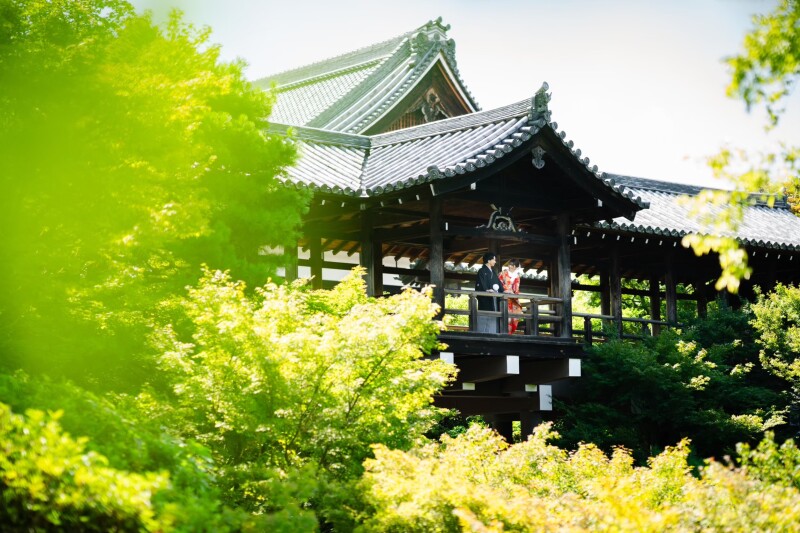 新緑シーズンの東福寺