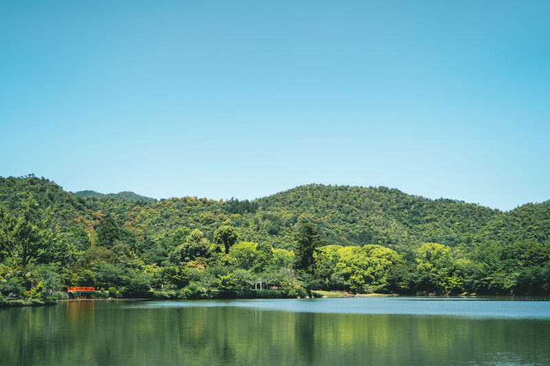 【必読】真夏の撮影の注意点