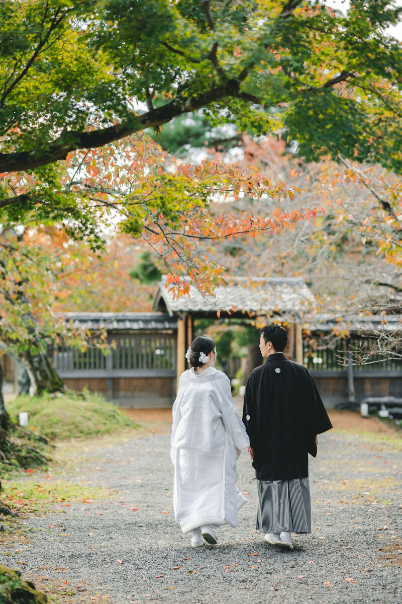 大覚寺の色付き情報