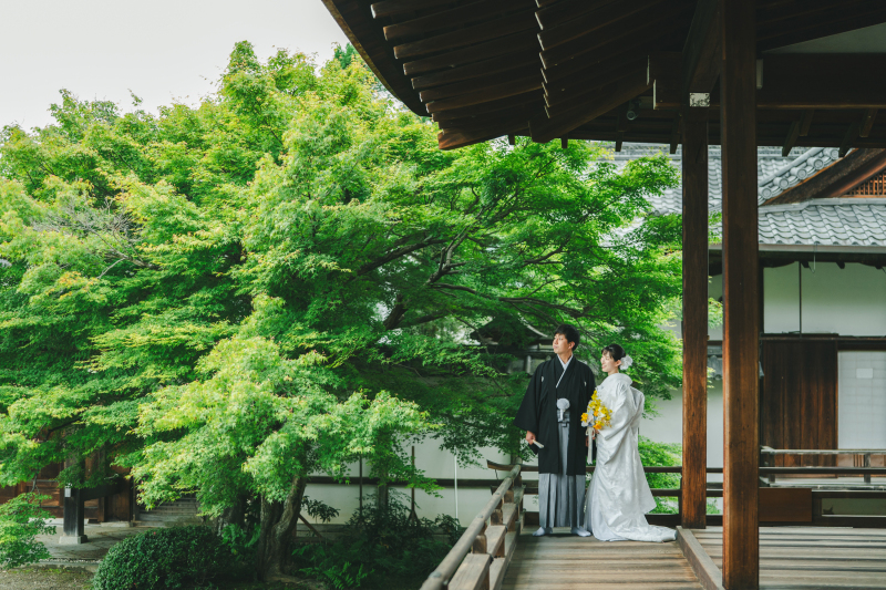 京都の新緑で前撮りするなら今。5月・6月が実は一番な理由