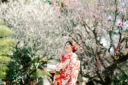 春爛漫