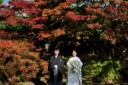 紅葉の穴場
