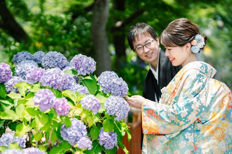 爽やかな色打掛111番のご紹介