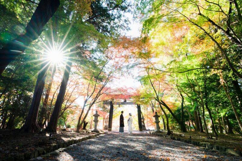 ロケーション紹介 〜大原野神社〜