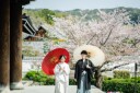 【2024年の桜】早期受付プランのご案内