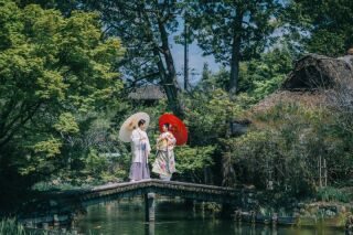 スタンダードプランの価格改定