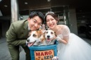 ワンちゃん（犬）と撮影について