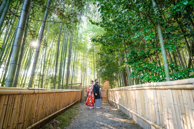 冬撮影でも安定の竹林