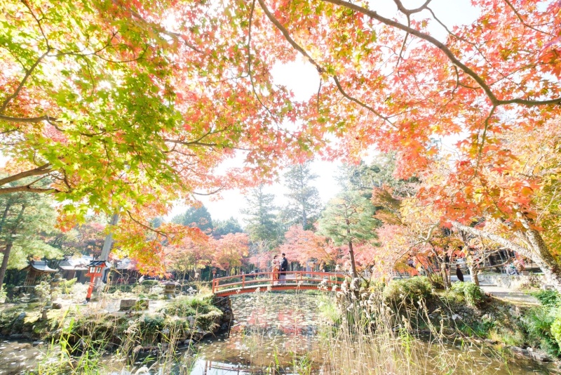 2021年紅葉シーズンのご予約について