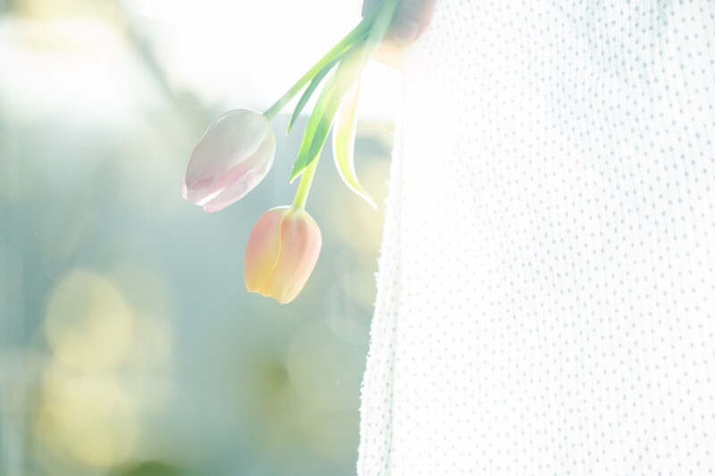 夏は、洋装撮影もいいですよ