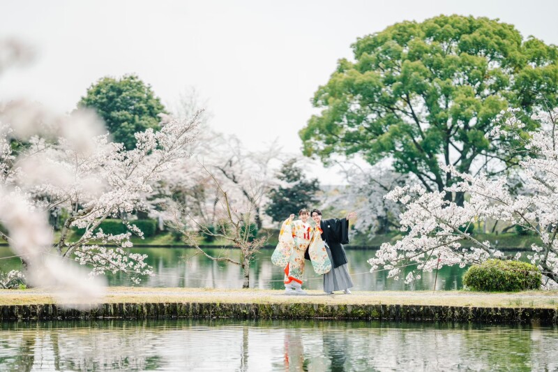 桜の季節に大覚寺で和装前撮りをご検討の方へ