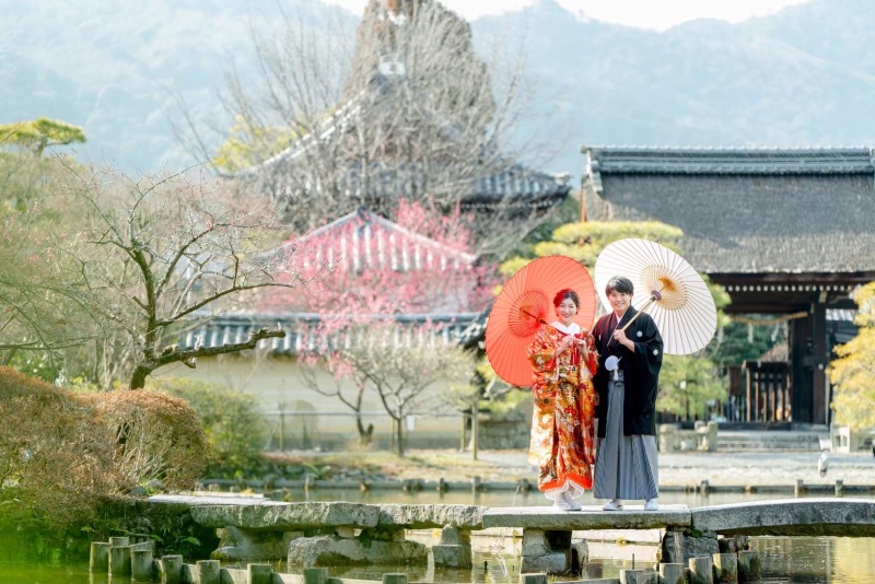 3月前半の梅
