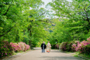 円山公園ロケについて