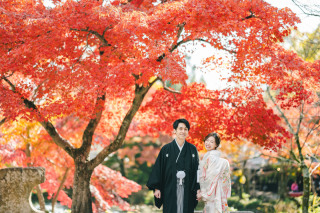 11月31日限定の紅葉プランのご案内①