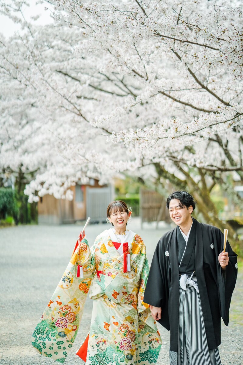 桜の季節に大覚寺で和装前撮りをご検討の方へ