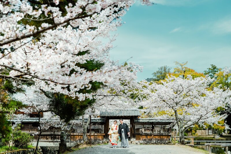 【重要】春の大覚寺前撮りについて