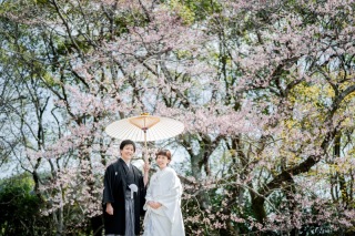 桜シーズンのご予約解禁