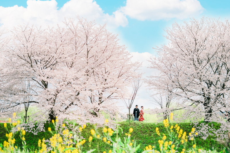 桜前撮りについて、4月1日、3月31日も少し空きあり。