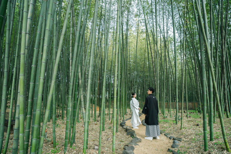冬の大覚寺、ウィンターキャンペーンのお知らせ