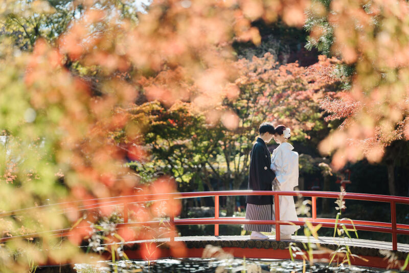 そういえば、紅葉しておりました。