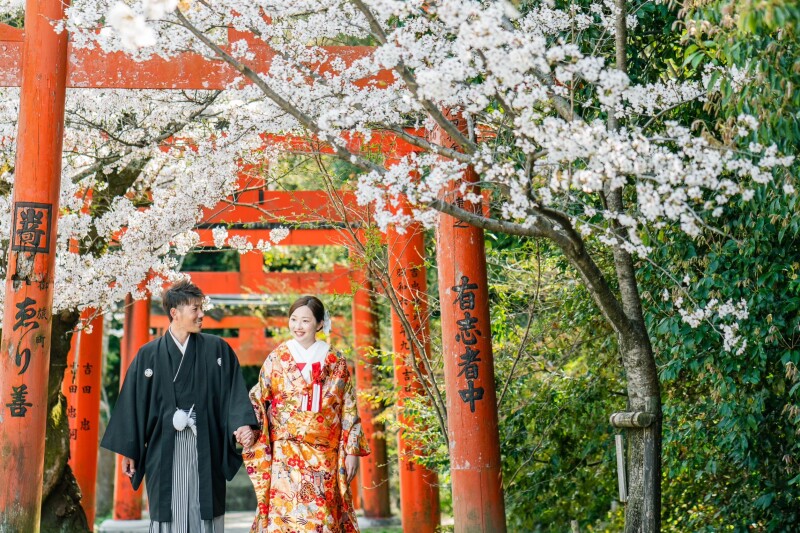 桜シーズンの撮影
