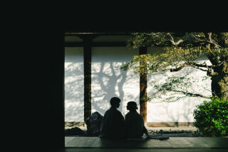 桜シーズンから初夏へ、撮影のポイント