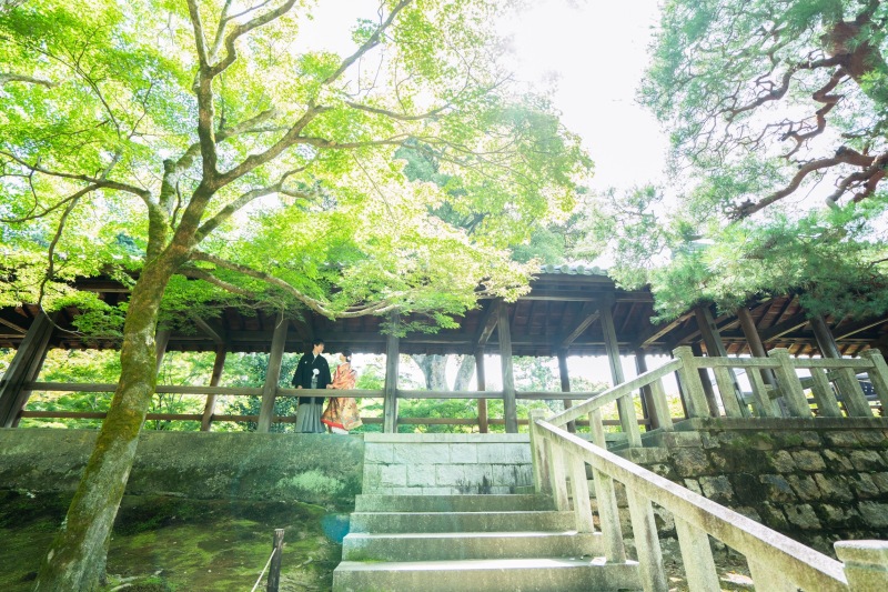 新緑シーズン突入