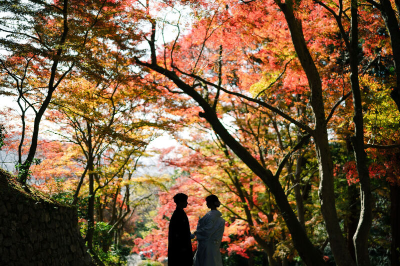 紅葉ショット