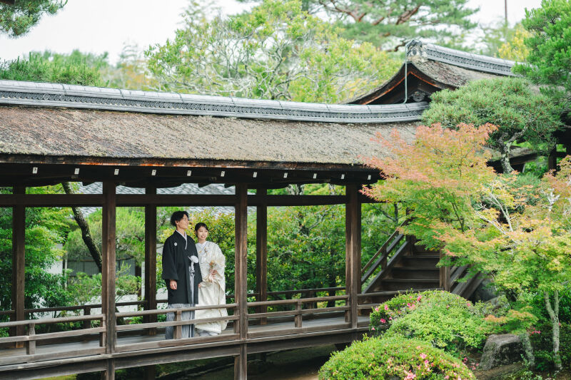 世界遺産で撮影