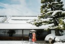 12月下旬～2月の撮影