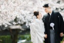 2025年の桜予約について