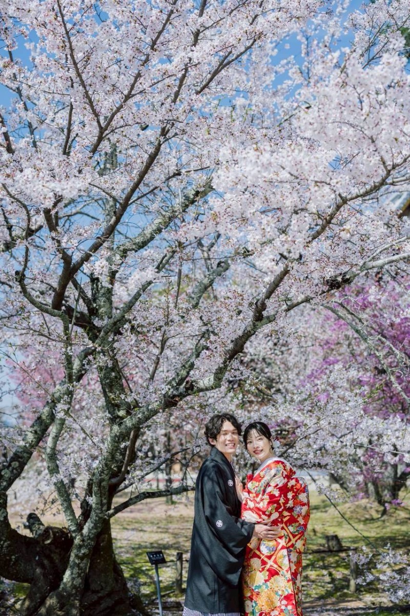 新緑シーズンと遅咲きの桜