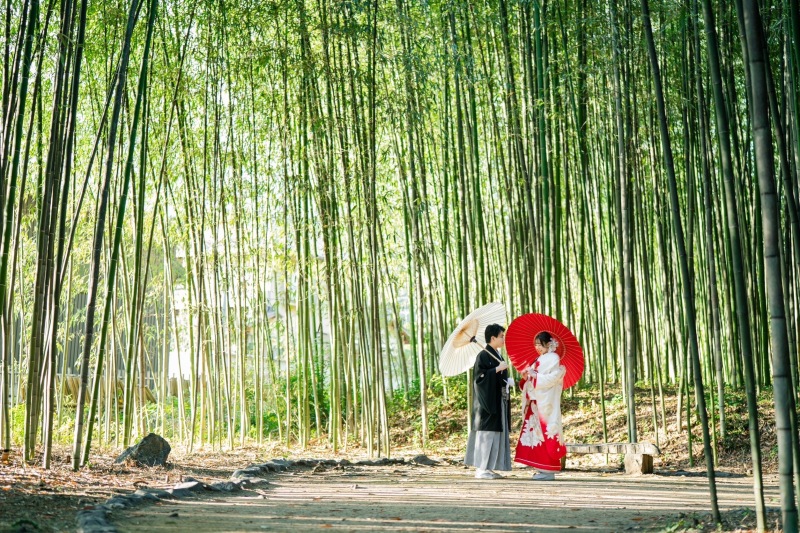 冬撮影でも安定の竹林