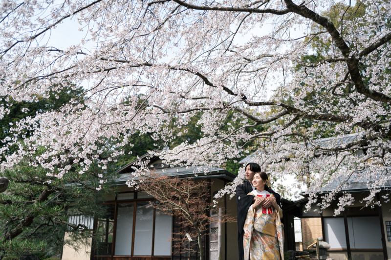 お寺と祇園で撮影