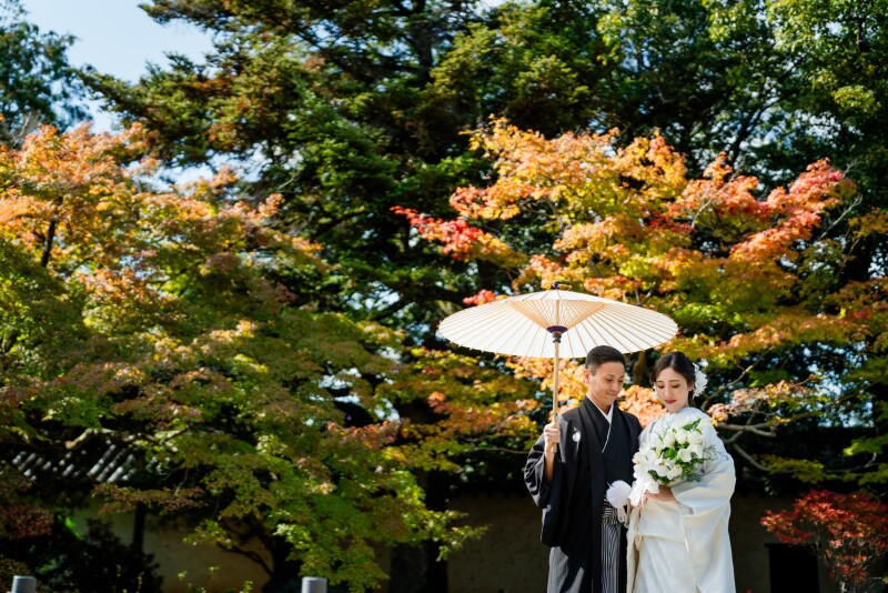 祇園と隨心院のロケーション撮影イメージ
