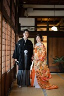 オレンジの色打掛96番のご紹介