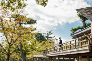 【重要】秋のお寺撮影について