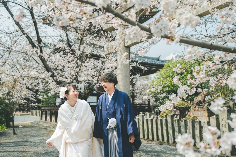 新緑シーズンと遅咲きの桜