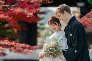 全ての季節で素敵な「金戒光明寺」