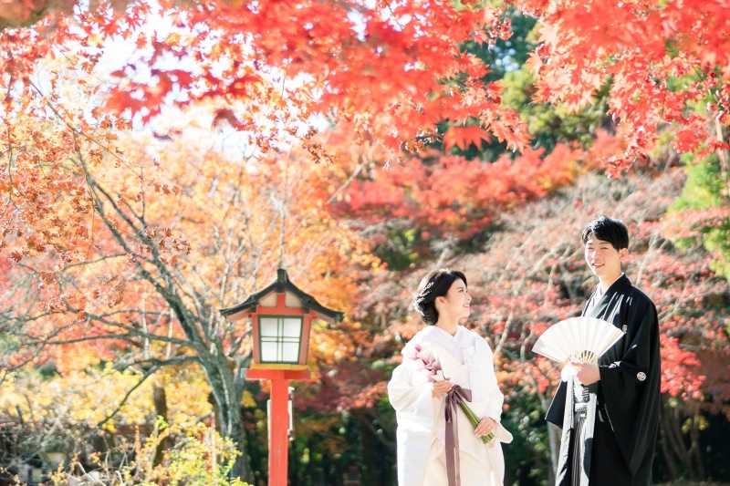 紅葉シーズンの撮影事例紹介