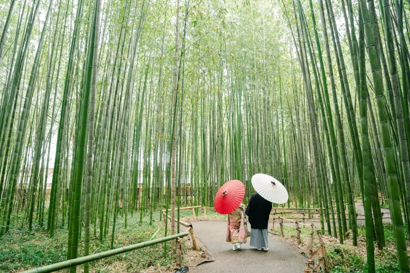 竹林もいいですよ