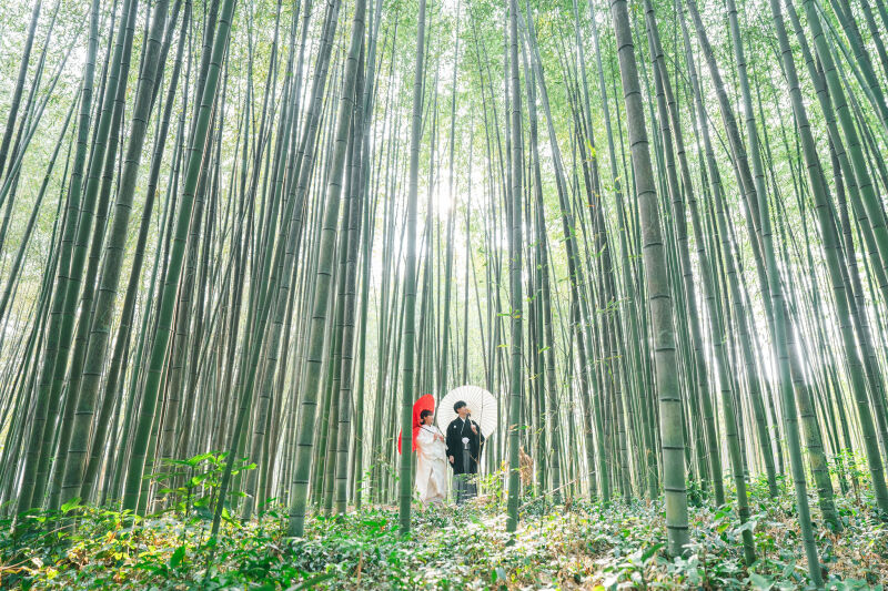 大覚寺の魅力