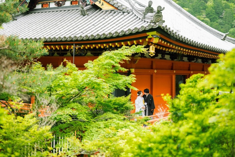 夏の寺院撮影