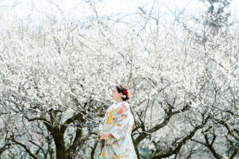 梅の大覚寺で撮影しよう!