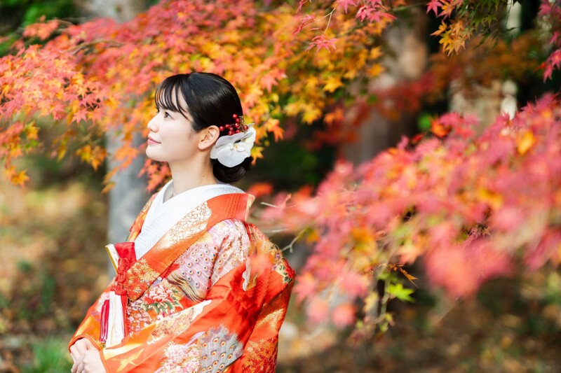 今年の紅葉はいつがいいのでしょうか。